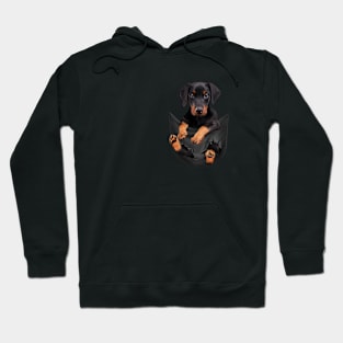 Doberman dog with love Hoodie